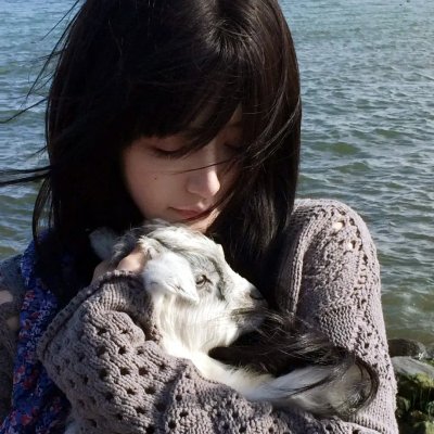 凶屋32 海报